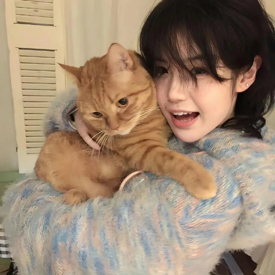 我心里危险的东西第二季